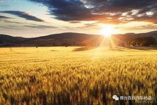 麦田汽车多少钱