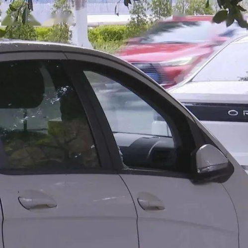 打砸汽车扣留多少天