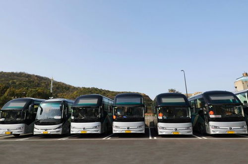 淅川到杭州汽车多少