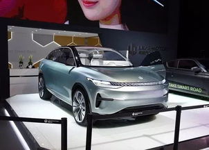 糯米汽车跑多少公里 糯米汽车跑多少公里