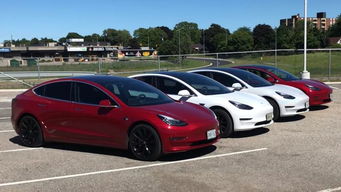 特斯拉汽车玩偶价格多少 特斯拉汽车玩偶价格多少