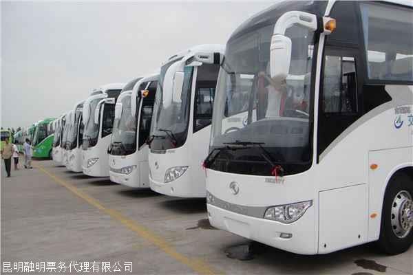 大巴汽车多少吨起步
