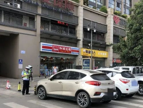 仁寿城区有多少汽车