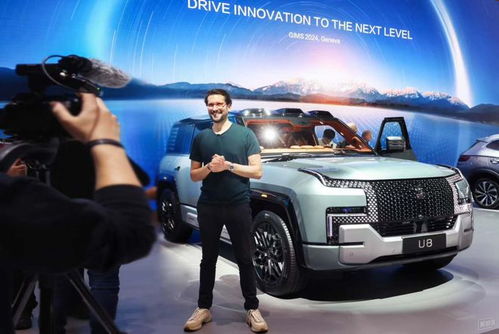 仰望汽车销售多少台