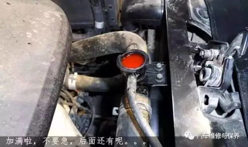 汽车换水箱报价多少