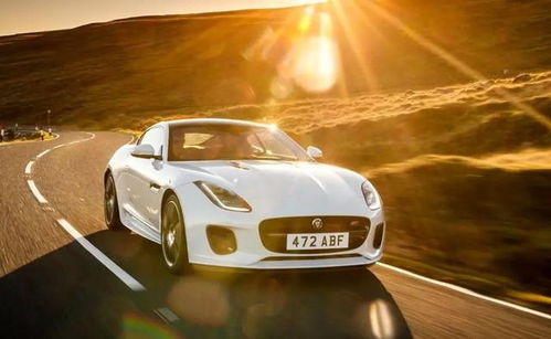 荷兰汽车排量多少万