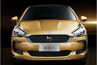 乐山ds汽车估价多少