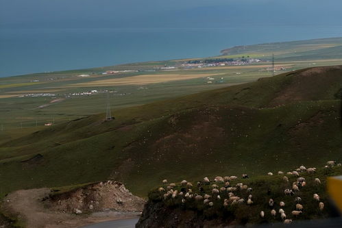 西宁到海晏汽车多少