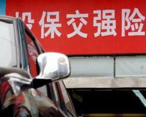 汽车盗抢赔多少