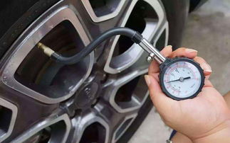 沈阳汽车油液价格多少