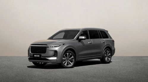 理想汽车进入多少国家