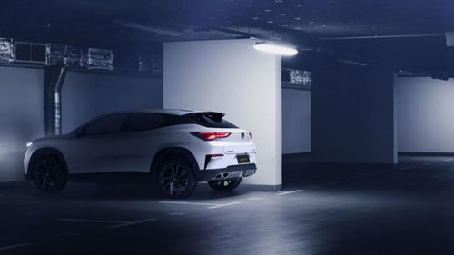 现在普遍汽车多少T