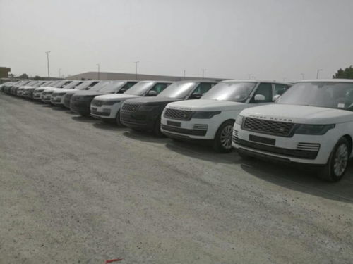 行政汽车多少钱 行政汽车多少钱