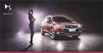 阿坝ds汽车估价多少