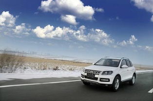 黑河出口汽车多少辆 黑河出口汽车多少辆