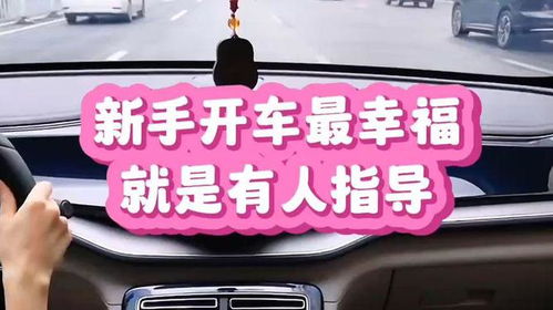 杨家坪汽车陪练费用多少