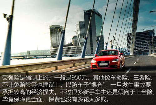 豪华汽车多少税费啊