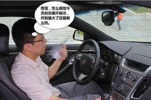 汽车多少码不伤车