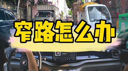 蓟县汽车陪练价格多少