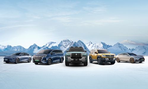 沈阳汽车之家补贴多少