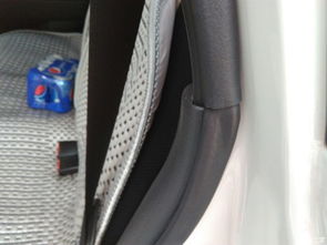 利亚纳汽车油箱多少升