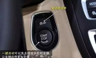 汽车开关按钮多少合适