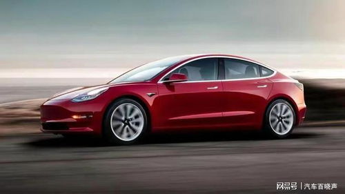 特斯拉有多少品牌汽车