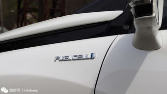 白金汽车有多少种