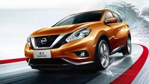 购买汽车杂费多少合适 购买汽车杂费多少合适