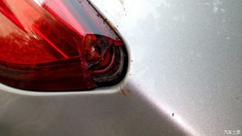 汽车树枝修复费用多少 汽车树枝修复费用多少