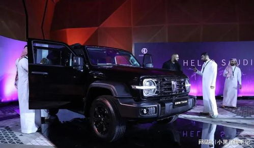 大汽车是多少辆 大汽车是多少辆