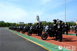 武汉特警汽车有多少 武汉特警汽车有多少