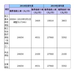 汽车保险年费多少 汽车保险年费多少