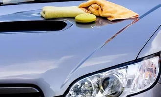 车子汽车多少钱 车子汽车多少钱