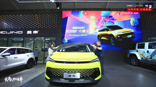 汽车大魔王价格多少