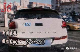 哈尔滨有多少共享汽车 哈尔滨有多少共享汽车