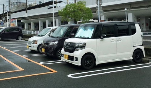 日本交汽车税多少