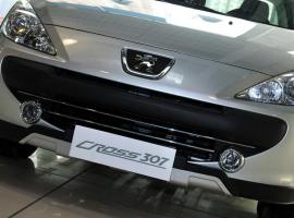 东平汽车雅阁价格多少 东平汽车雅阁价格多少