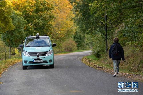 瑞典市有多少汽车