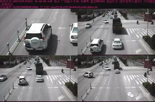 环县汽车多少钱