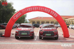 河北遵化有多少汽车