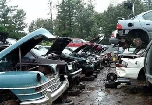 多少汽车有废车 多少汽车有废车