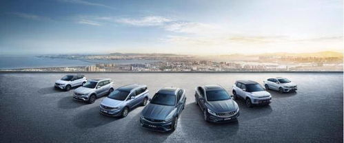 弥勒汽车整备质量多少