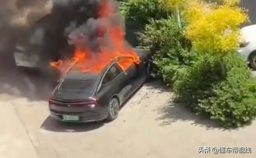 哪吒汽车自燃有多少