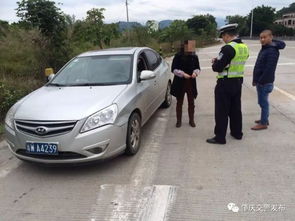 外省汽车有多少辆