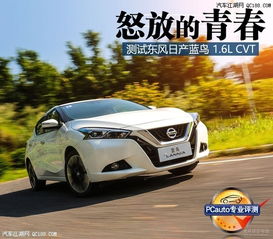 汽车蓝鸟多少钱