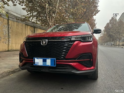 蓝鲸汽车体型多少