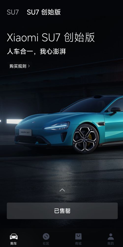 小米汽车定金多少亿