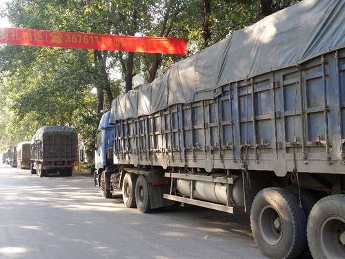 汽车装满粮食多少吨重