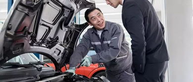 扫毒三费了多少汽车